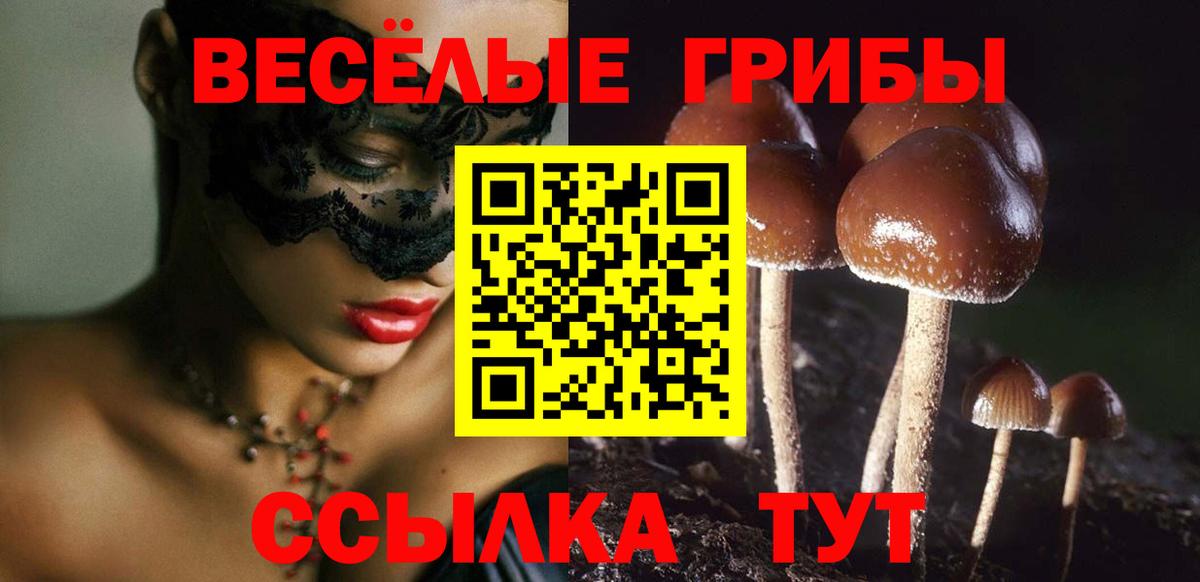 Галлюциногенные грибы мухоморы  где найти   Вход с VPN  Муравленко  Псилоцибиновые грибы MAGIC MUSHROOMS 