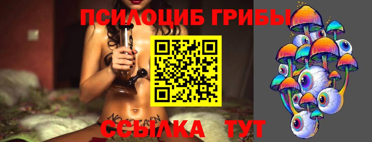 Галлюциногенные грибы Cubensis Муравленко